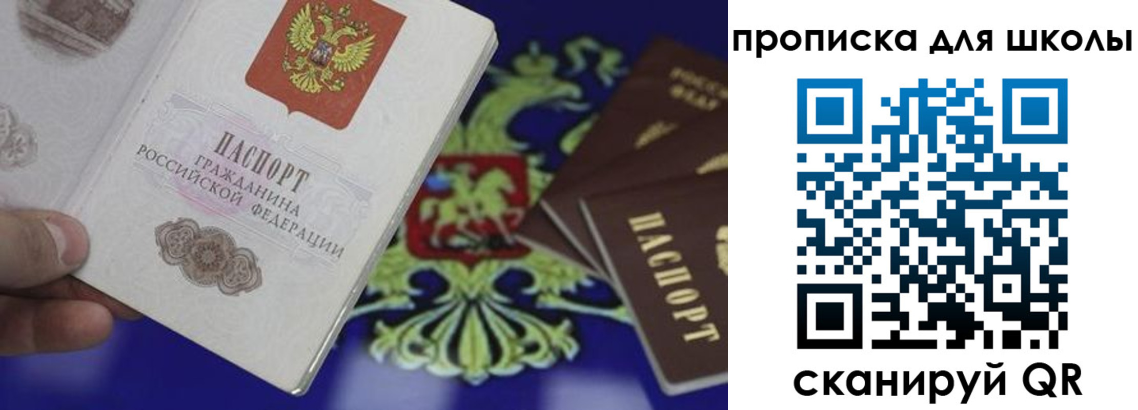 прописка паспорт в Домодедово